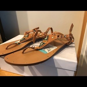 Dolce vita gladiator sandals